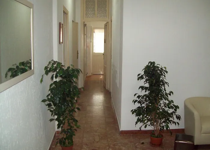 罗杰住宿加早餐酒店